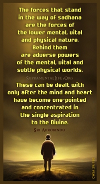 Forces Stand Against Sadhana.jpg